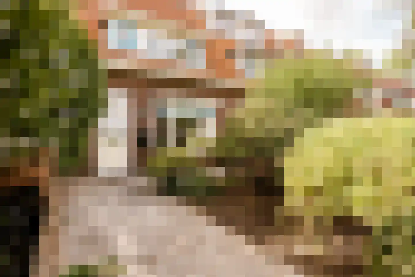 Slaperdijkweg 36 Haarlem thumbnail 56