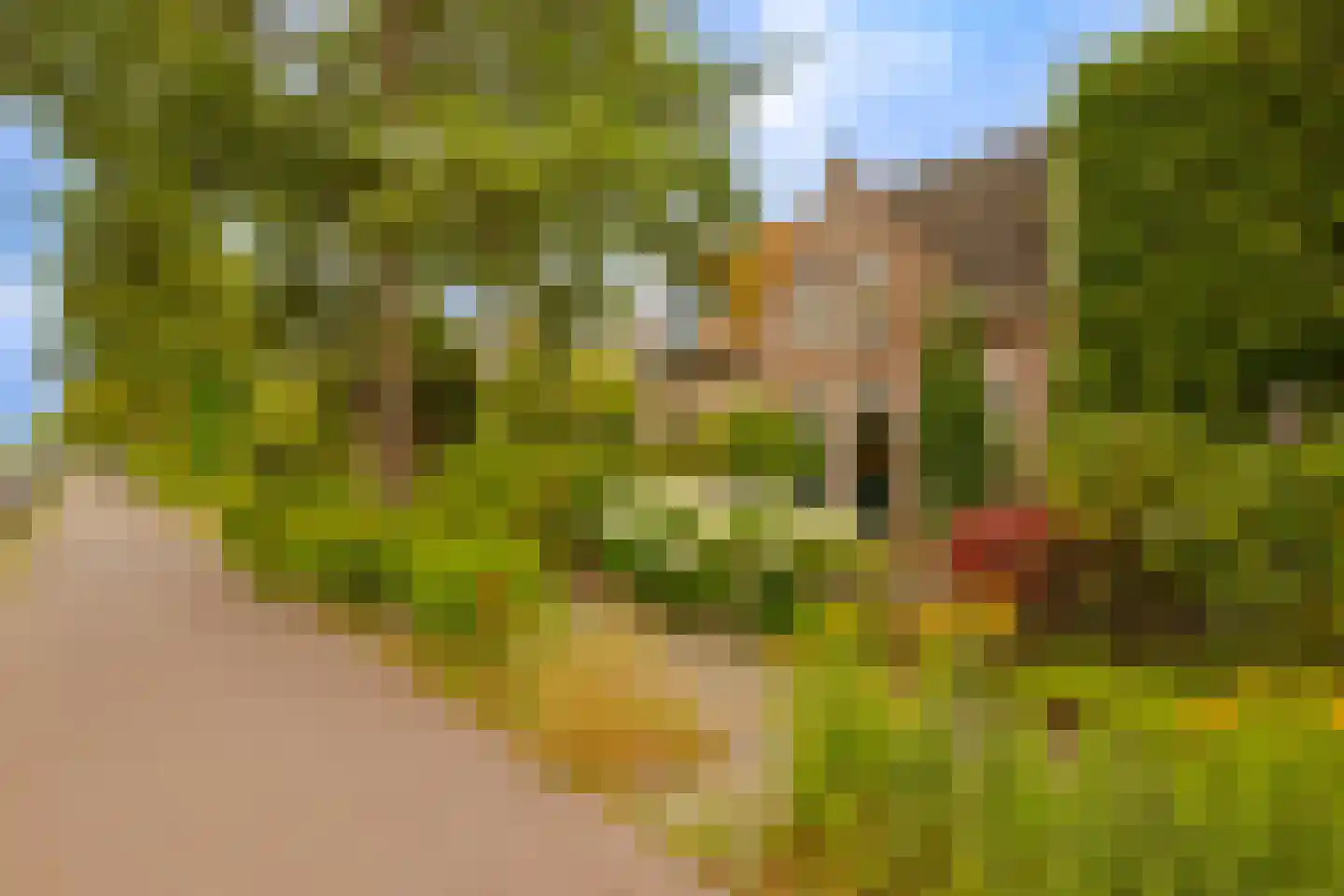 Slaperdijkweg 64 Haarlem thumbnail 30