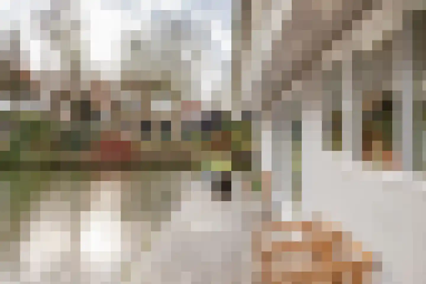 Slapershaven 14 Hoorn thumbnail 41