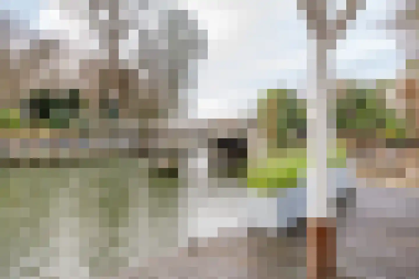Slapershaven 14 Hoorn thumbnail 42
