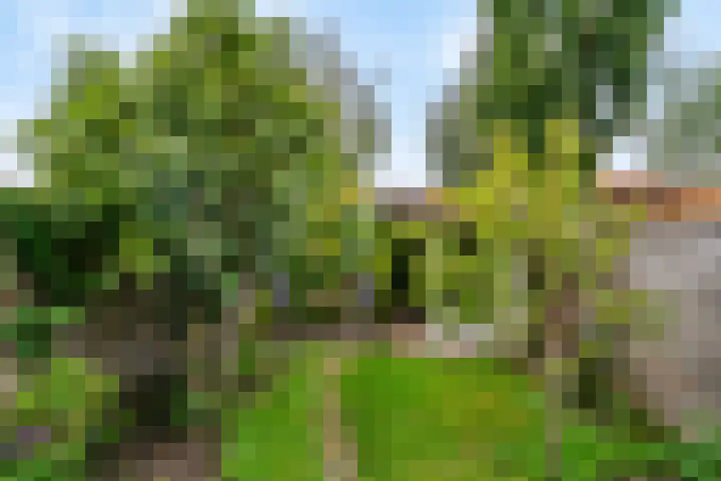 Slaperstraat 28 Oostzaan thumbnail 29