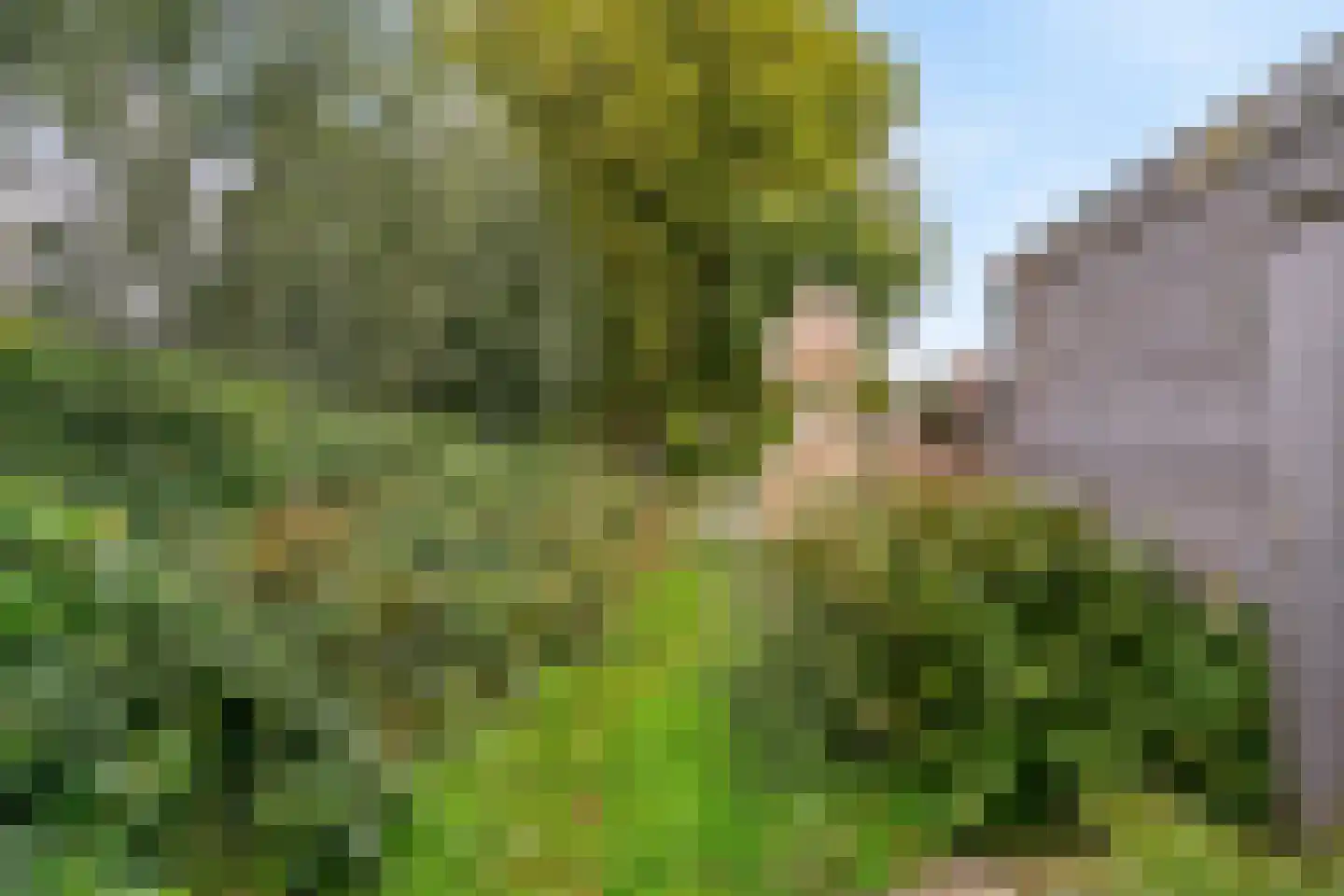 Slaperstraat 28 Oostzaan thumbnail 35