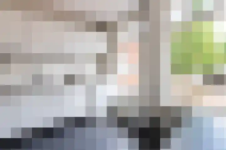 Slapperdel 12 Gouda thumbnail 10