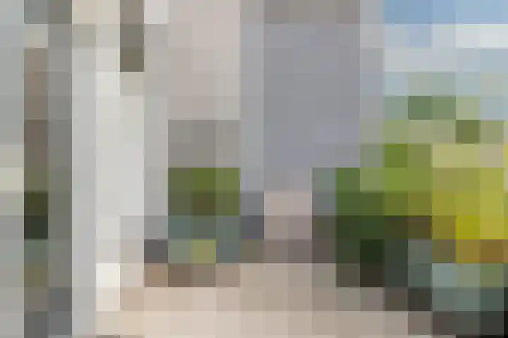 Slapperdel 12 Gouda thumbnail 12
