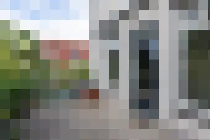 Slapperdel 12 Gouda thumbnail 13