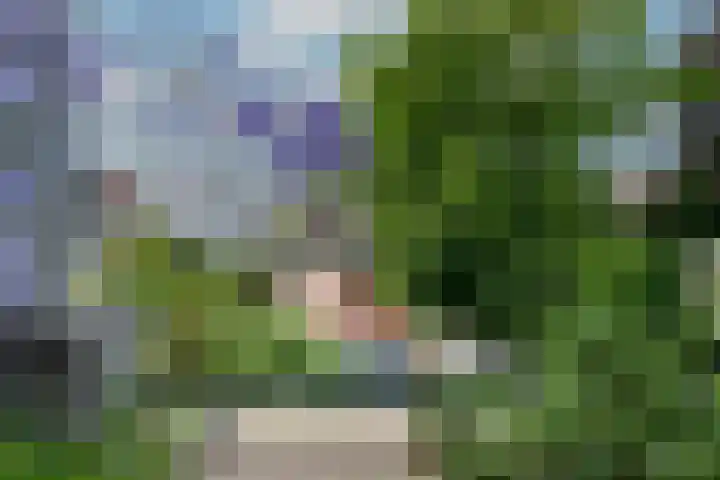 Slapperdel 12 Gouda thumbnail 16