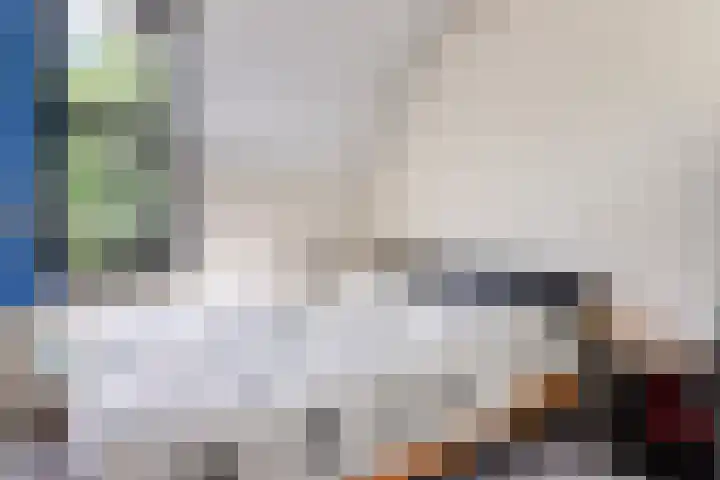Slapperdel 12 Gouda thumbnail 19