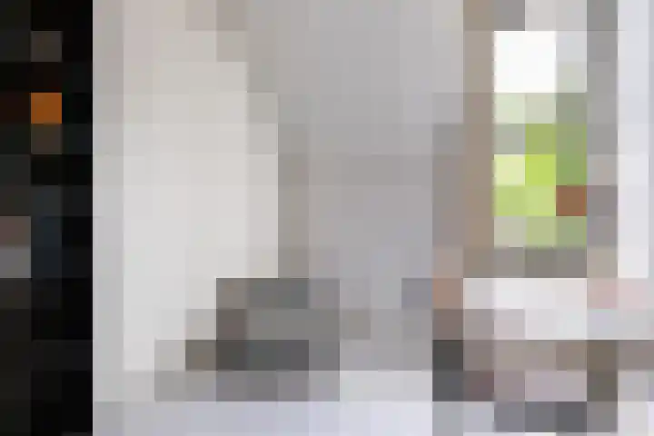 Slapperdel 12 Gouda thumbnail 22
