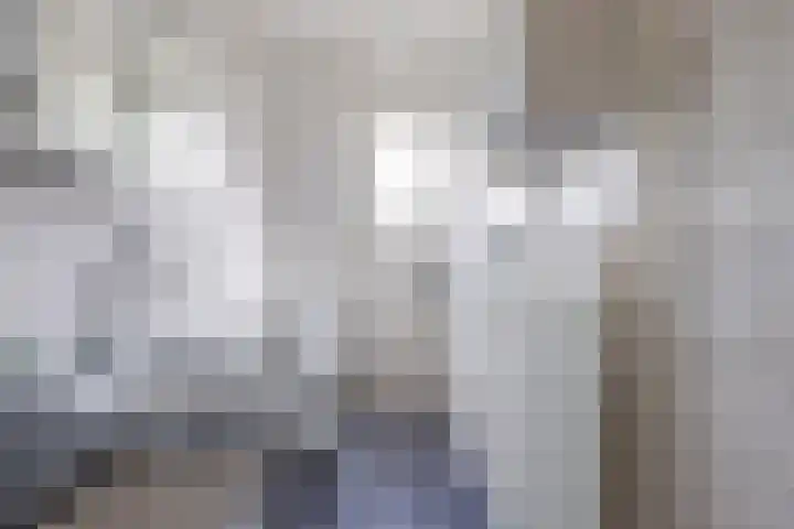 Slapperdel 12 Gouda thumbnail 23