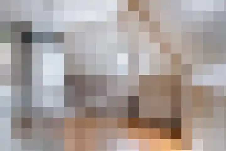 Slapperdel 12 Gouda thumbnail 25