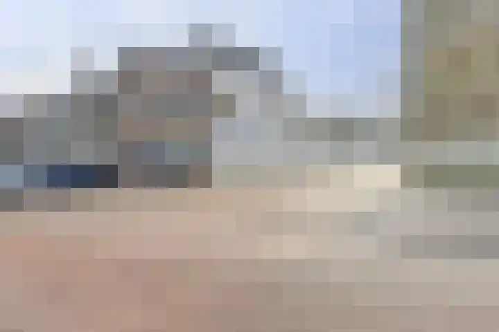 Slapperdel 12 Gouda thumbnail 26