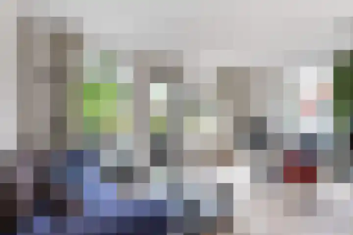 Slapperdel 12 Gouda thumbnail 4