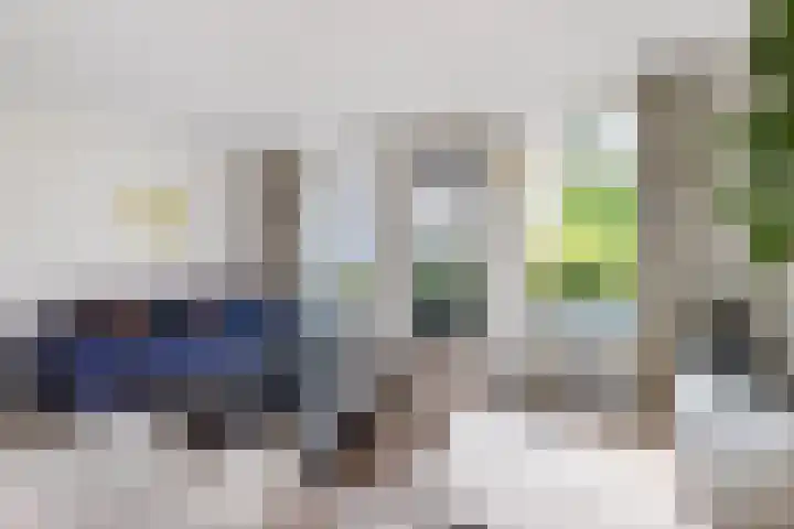 Slapperdel 12 Gouda thumbnail 5