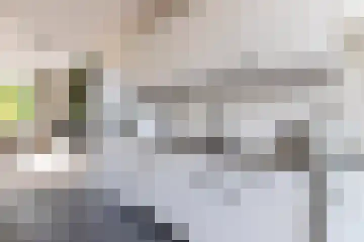 Slapperdel 12 Gouda thumbnail 9