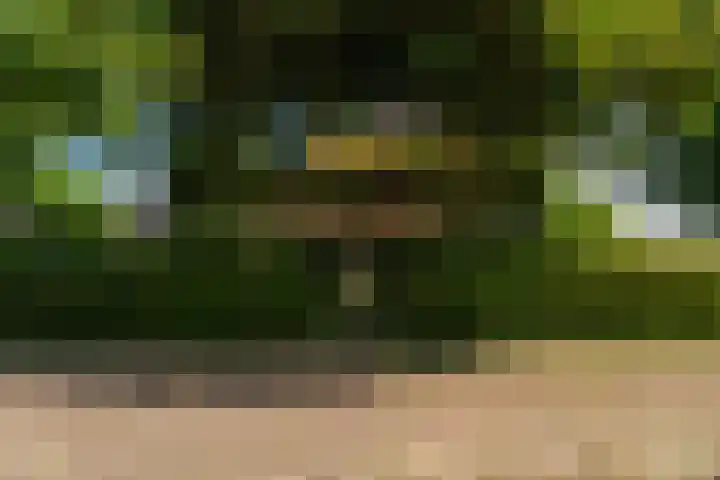 Slappeterpsterdyk 5 Skingen thumbnail 10