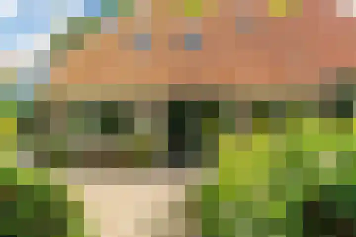 Slappeterpsterdyk 5 Skingen thumbnail 11