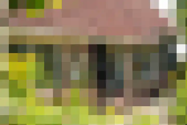 Slappeterpsterdyk 5 Skingen thumbnail 12