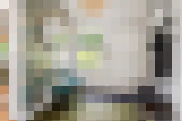 Slappeterpsterdyk 5 Skingen thumbnail 13