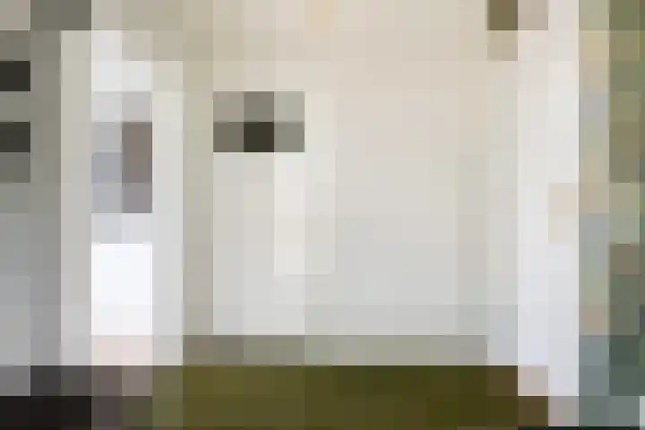 Slappeterpsterdyk 5 Skingen thumbnail 14