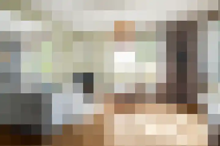 Slappeterpsterdyk 5 Skingen thumbnail 15