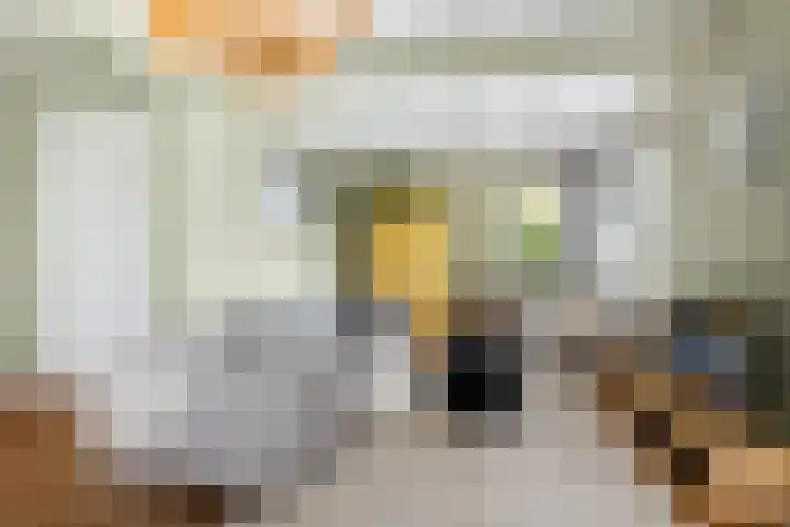 Slappeterpsterdyk 5 Skingen thumbnail 16