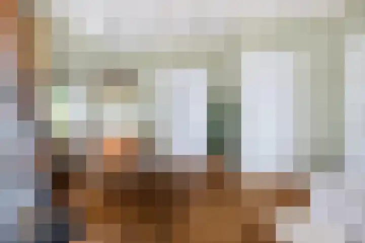 Slappeterpsterdyk 5 Skingen thumbnail 18
