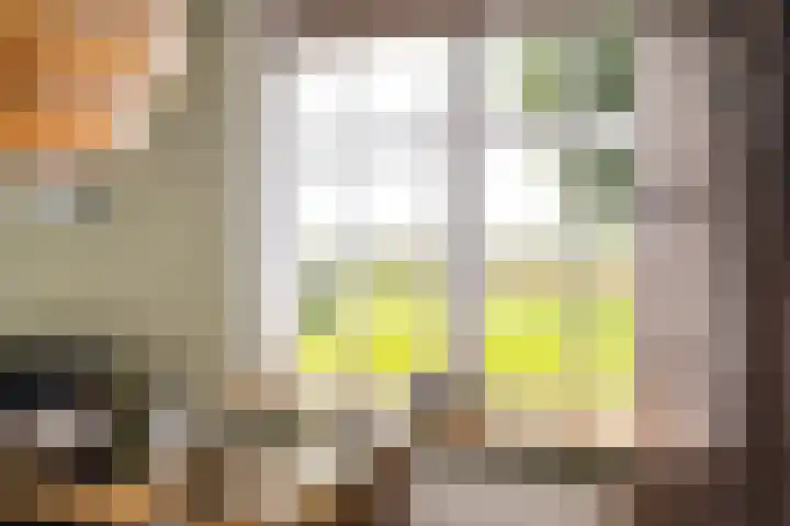 Slappeterpsterdyk 5 Skingen thumbnail 20