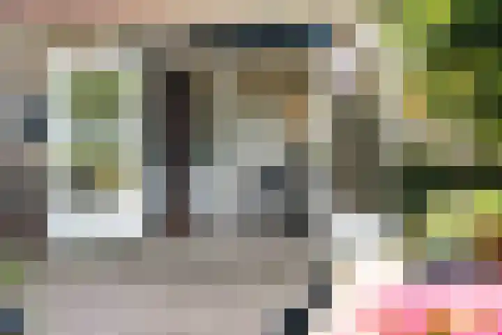 Slappeterpsterdyk 5 Skingen thumbnail 26