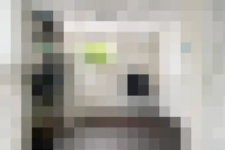 Slappeterpsterdyk 5 Skingen thumbnail 27