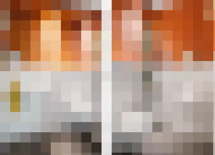Slappeterpsterdyk 5 Skingen thumbnail 29