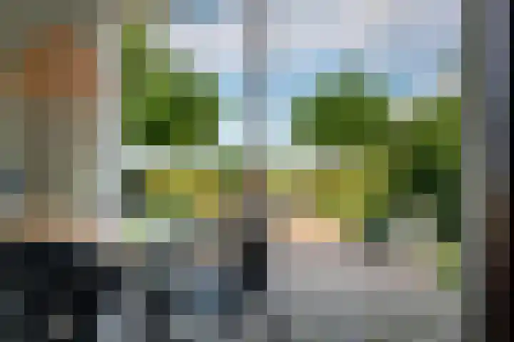 Slappeterpsterdyk 5 Skingen foto 3