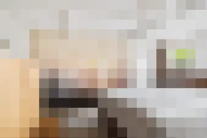 Slappeterpsterdyk 5 Skingen thumbnail 30