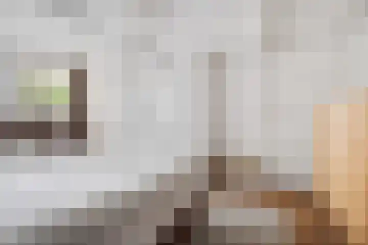 Slappeterpsterdyk 5 Skingen thumbnail 31