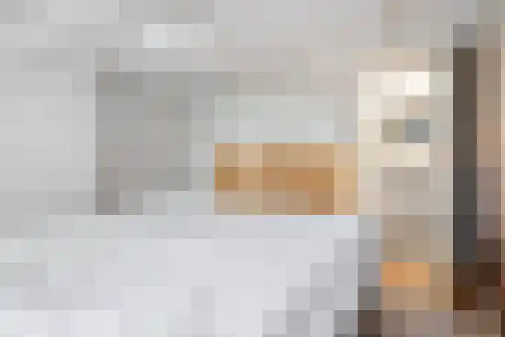 Slappeterpsterdyk 5 Skingen thumbnail 32