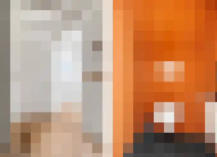 Slappeterpsterdyk 5 Skingen thumbnail 35