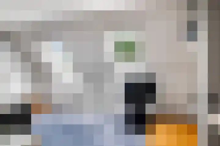 Slappeterpsterdyk 5 Skingen thumbnail 38