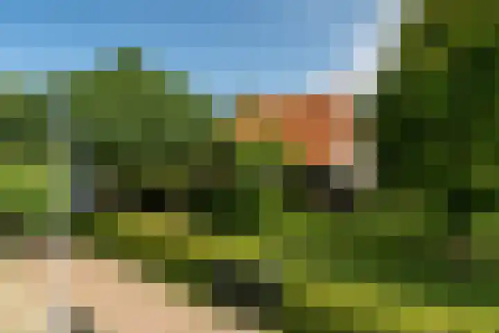 Slappeterpsterdyk 5 Skingen thumbnail 4