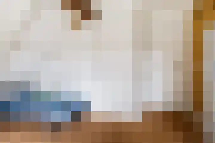 Slappeterpsterdyk 5 Skingen thumbnail 40