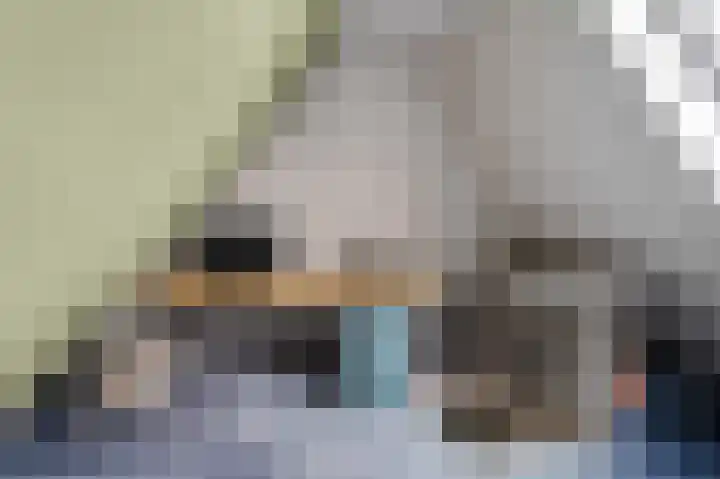 Slappeterpsterdyk 5 Skingen thumbnail 47