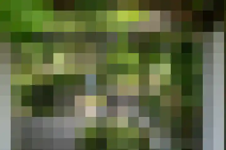 Slappeterpsterdyk 5 Skingen thumbnail 48