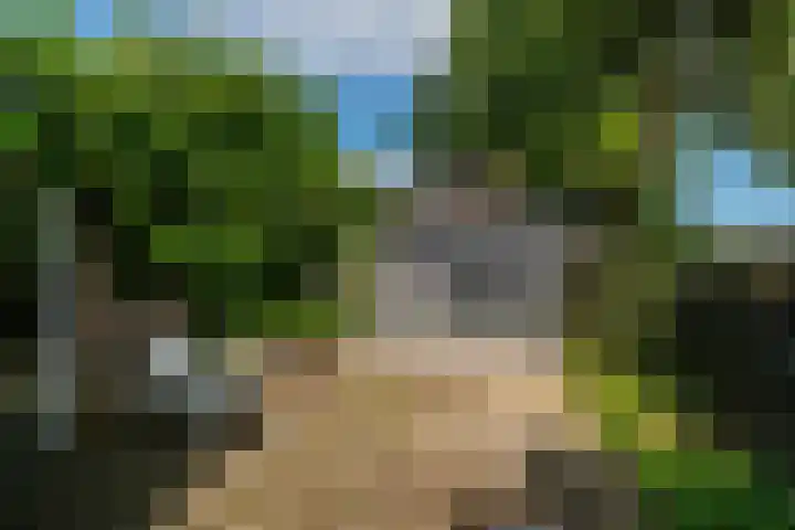 Slappeterpsterdyk 5 Skingen thumbnail 49