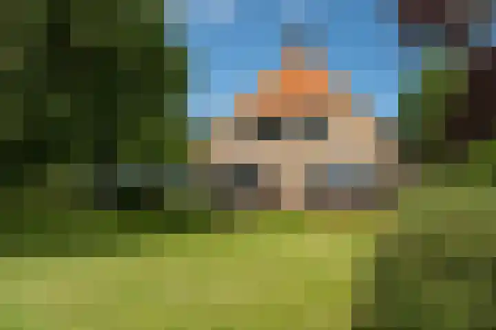 Slappeterpsterdyk 5 Skingen thumbnail 5