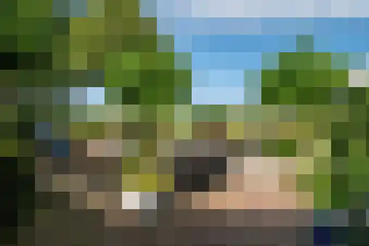 Slappeterpsterdyk 5 Skingen thumbnail 50