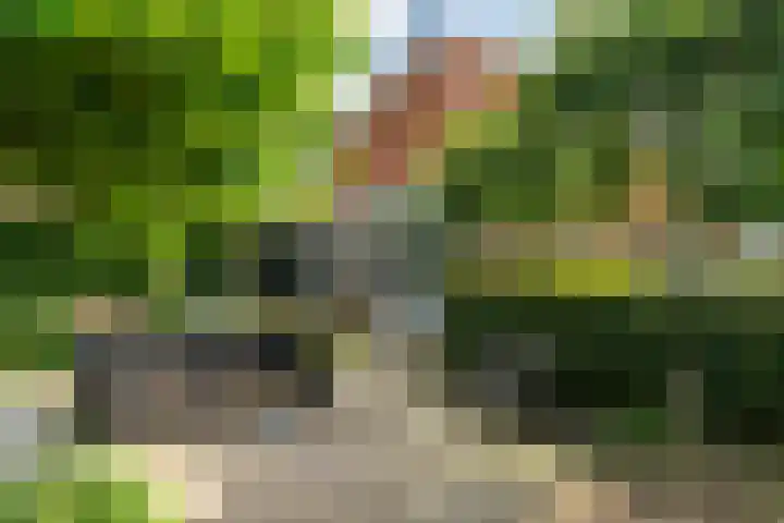 Slappeterpsterdyk 5 Skingen thumbnail 52