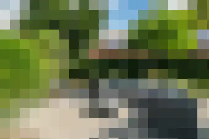 Slappeterpsterdyk 5 Skingen thumbnail 54