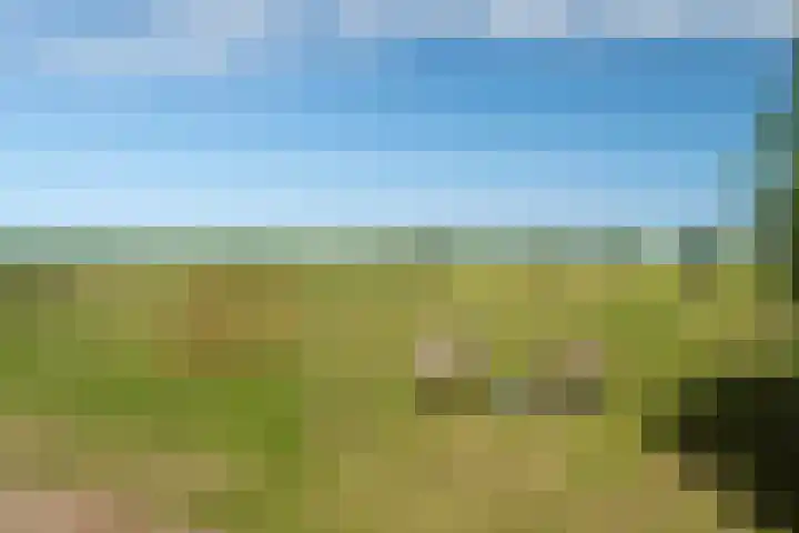 Slappeterpsterdyk 5 Skingen thumbnail 55