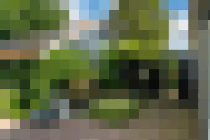 Slappeterpsterdyk 5 Skingen thumbnail 56