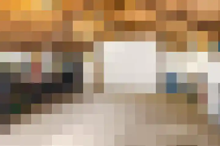 Slappeterpsterdyk 5 Skingen thumbnail 57