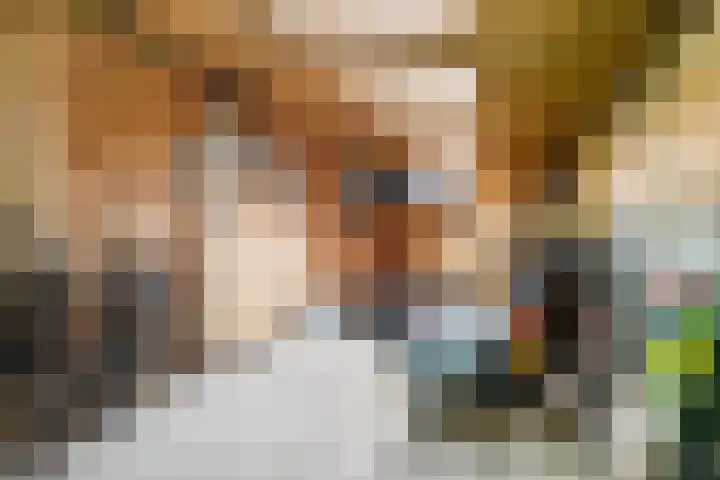 Slappeterpsterdyk 5 Skingen thumbnail 58