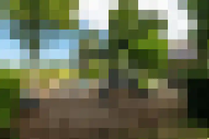 Slappeterpsterdyk 5 Skingen thumbnail 59